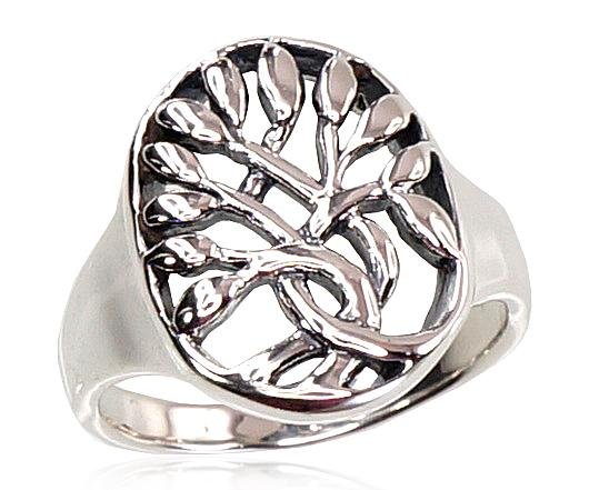 Silver ring
