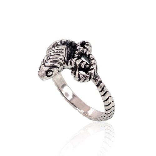 Alternative view of Silver ring