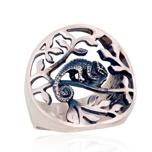 Silver ring
