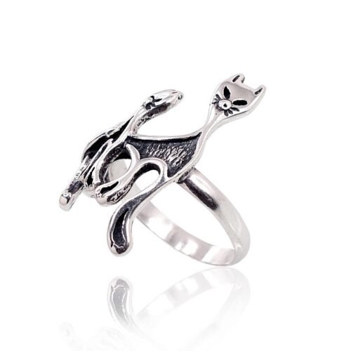 Alternative view of Silver ring