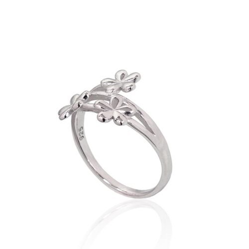 Alternative view of Silver ring