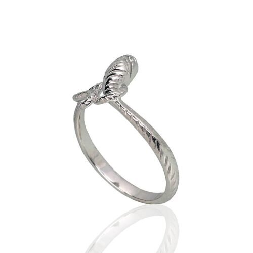 Alternative view of Silver ring
