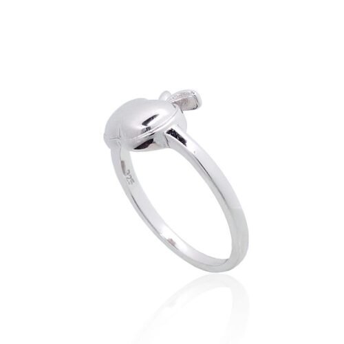 Alternative view of Silver ring