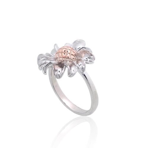 Alternative view of Silver ring