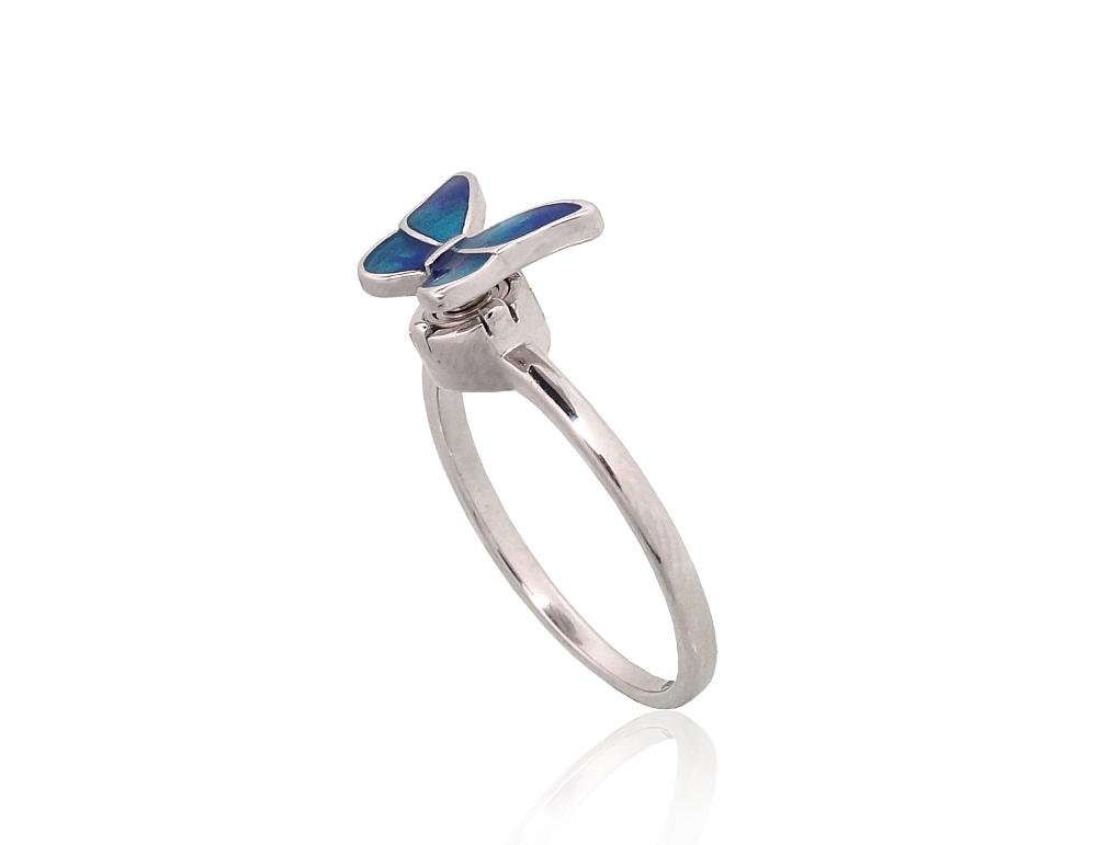 Silver ring with Jewelery enamel - Image 2