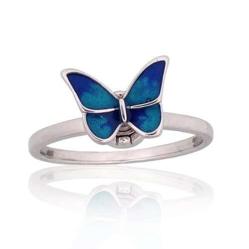 Silver ring with Jewelery enamel