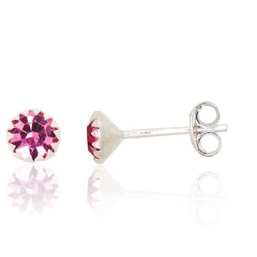 Silver stud earrings with Zirkons