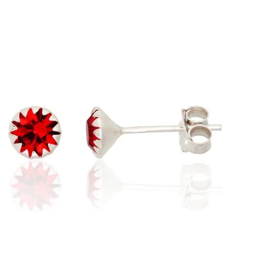 Silver stud earrings with Zirkons