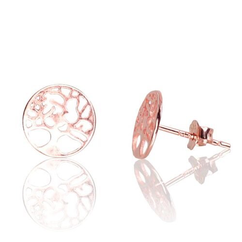 Silver stud earrings