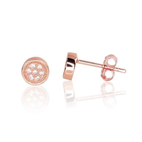 Silver stud earrings with Zirkons