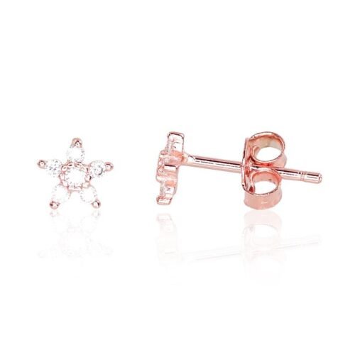 Silver stud earrings with Zirkons