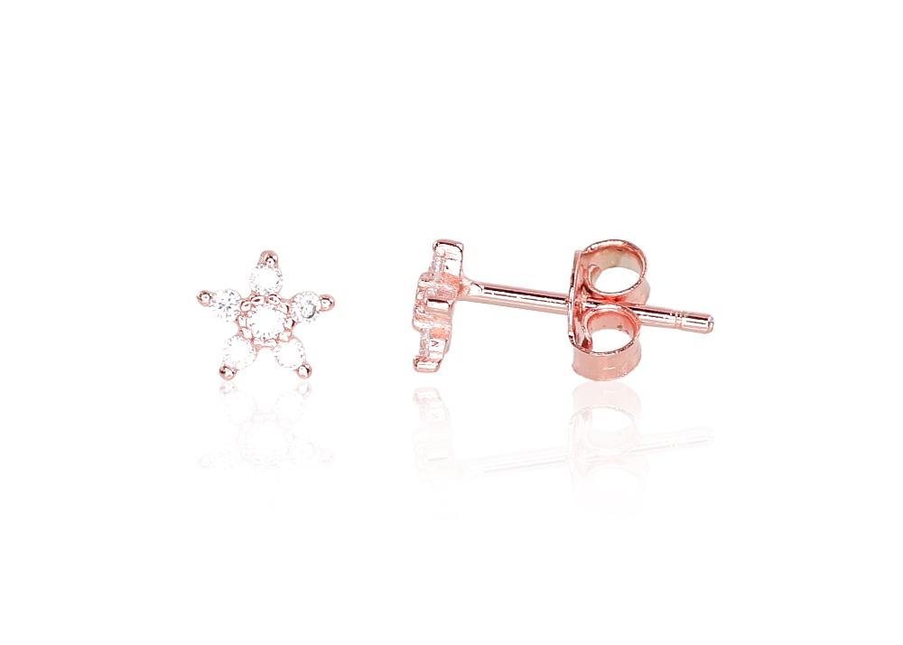 Silver stud earrings with Zirkons