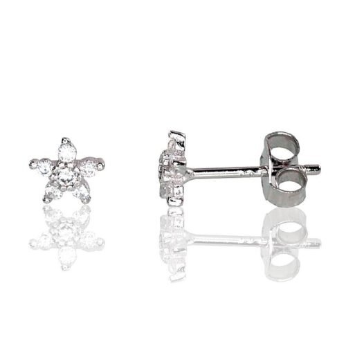 Silver stud earrings with Zirkons