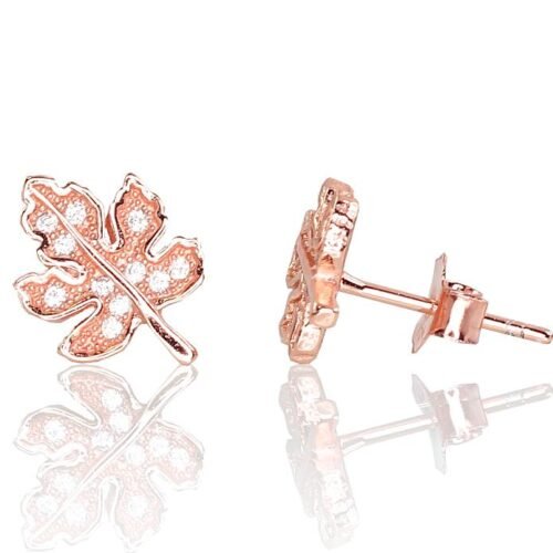 Silver stud earrings with Zirkons
