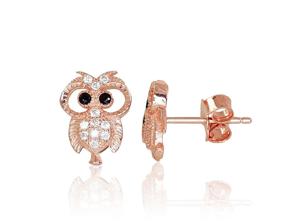 Silver stud earrings with Zirkons