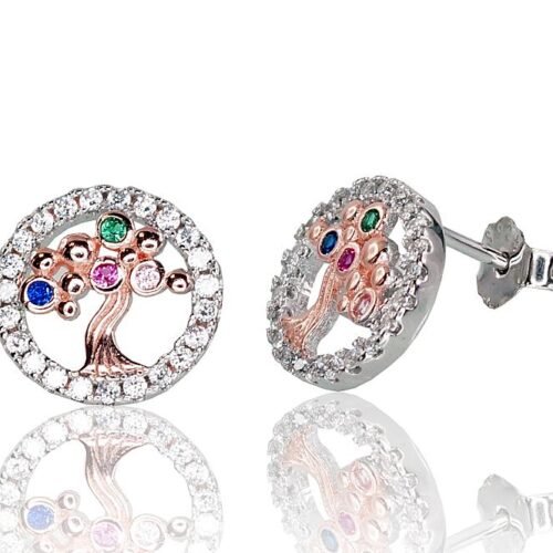Silver stud earrings with Zirkons