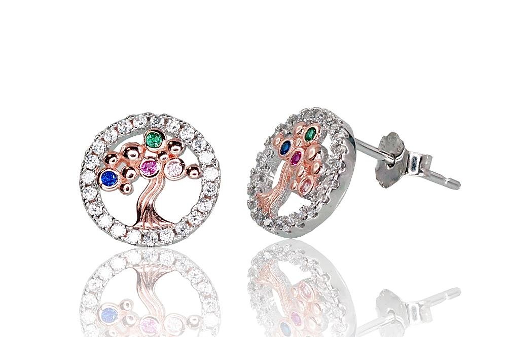 Silver stud earrings with Zirkons