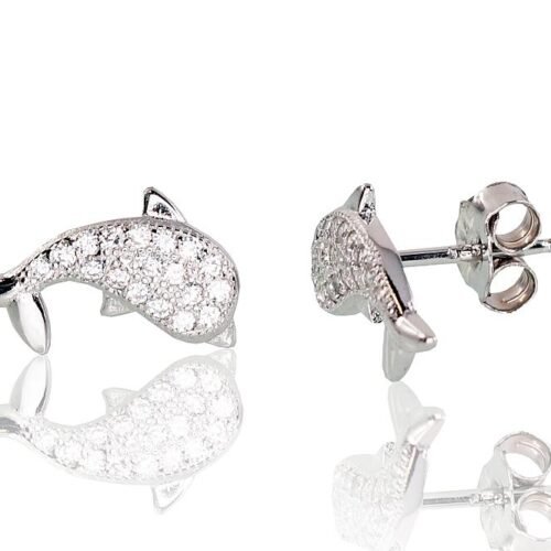 Silver stud earrings with Zirkons