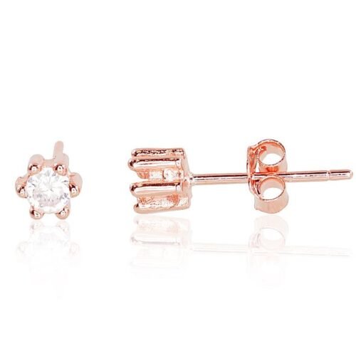 Silver stud earrings with Zirkons