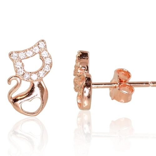Silver stud earrings with Zirkons