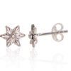 Silver stud earrings