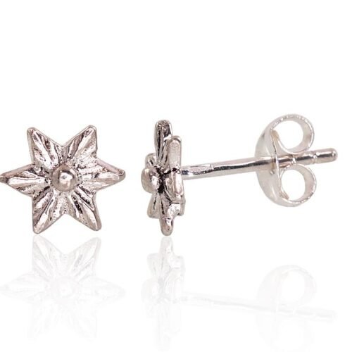 Silver stud earrings