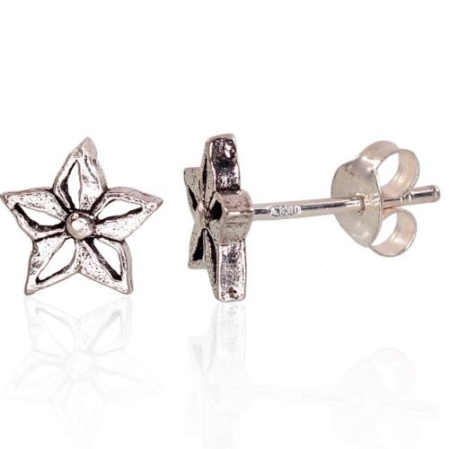 Silver stud earrings