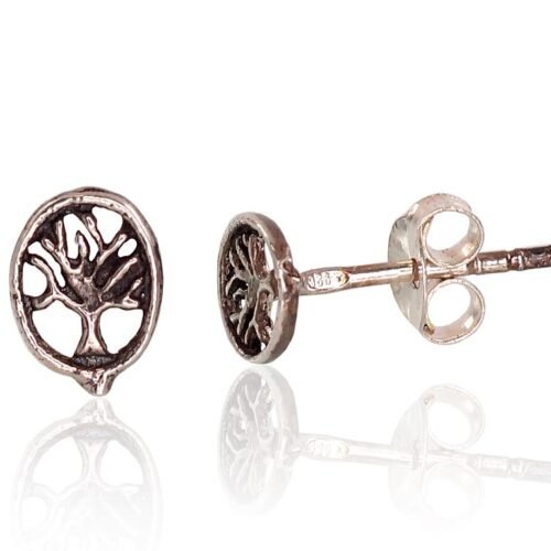 Silver stud earrings