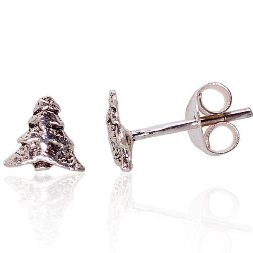 Silver stud earrings