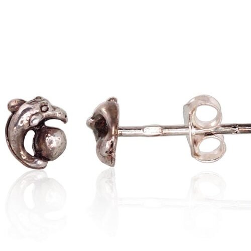 Silver stud earrings