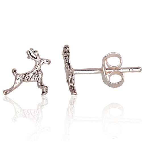 Silver stud earrings