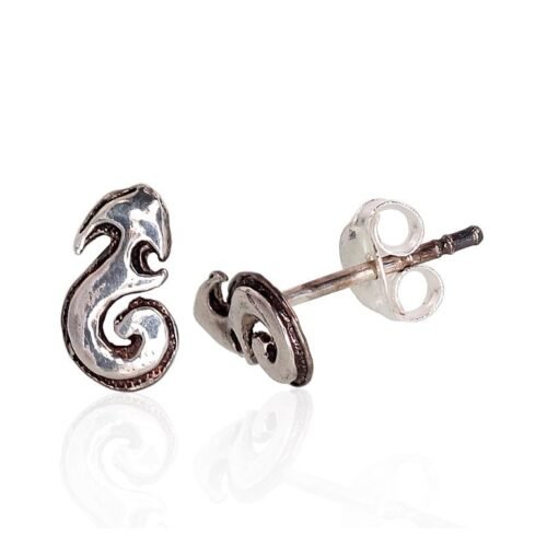 Silver stud earrings