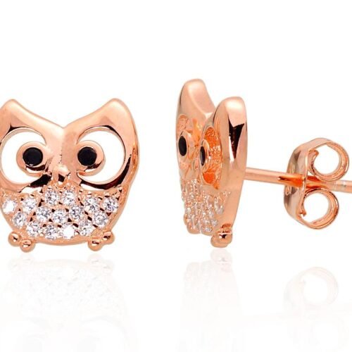 Silver stud earrings with Zirkons