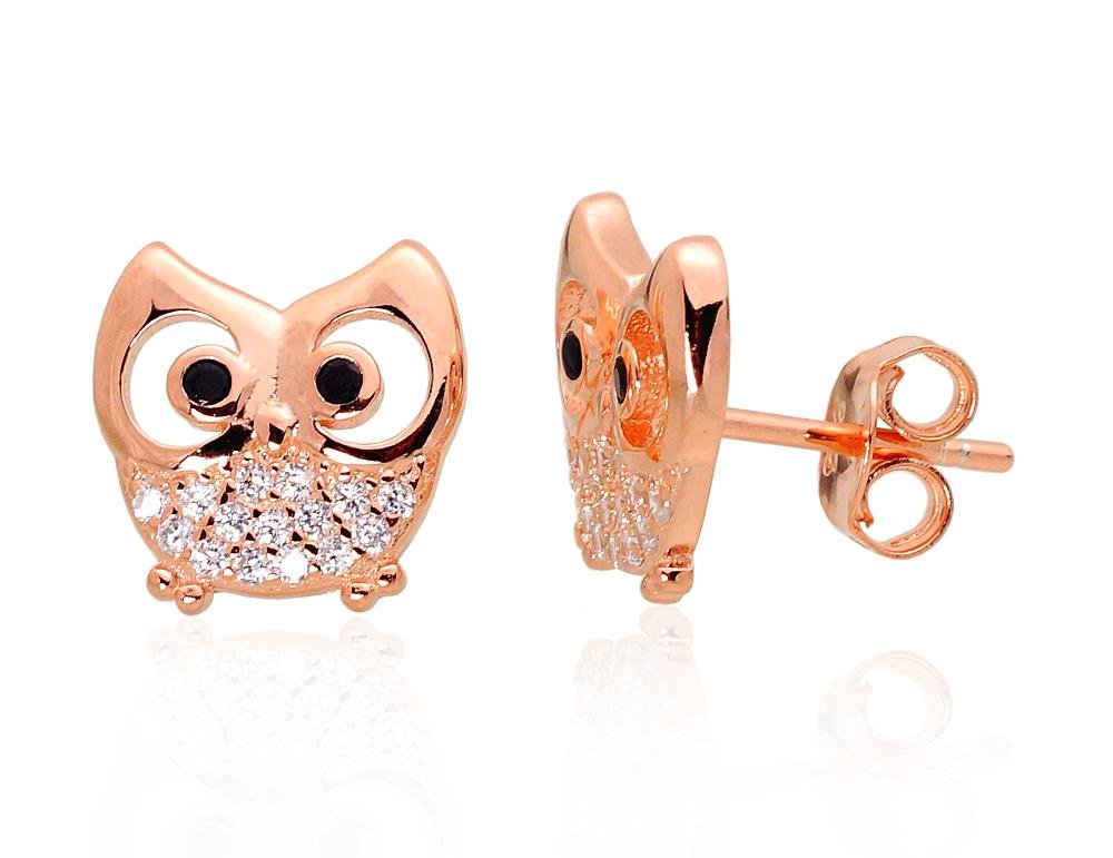 Silver stud earrings with Zirkons