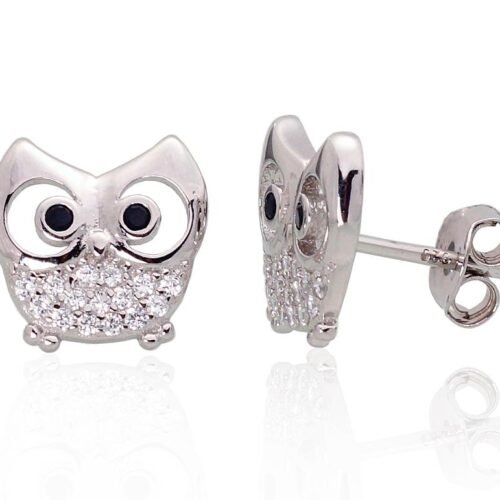 Silver stud earrings with Zirkons