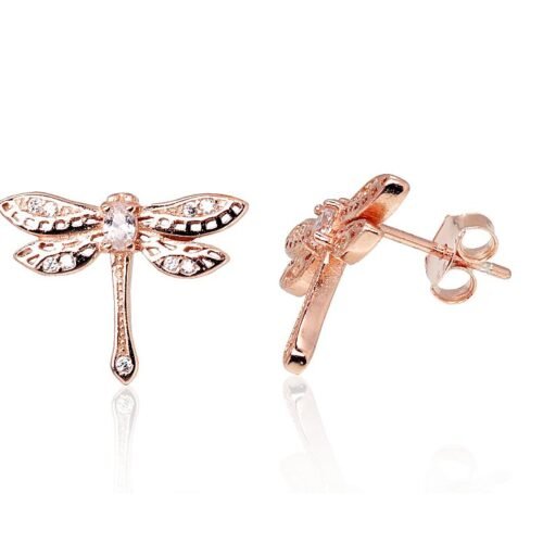 Silver stud earrings with Zirkons