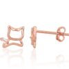 Silver stud earrings with Zirkons