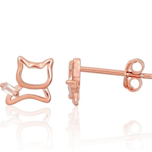 Silver stud earrings with Zirkons