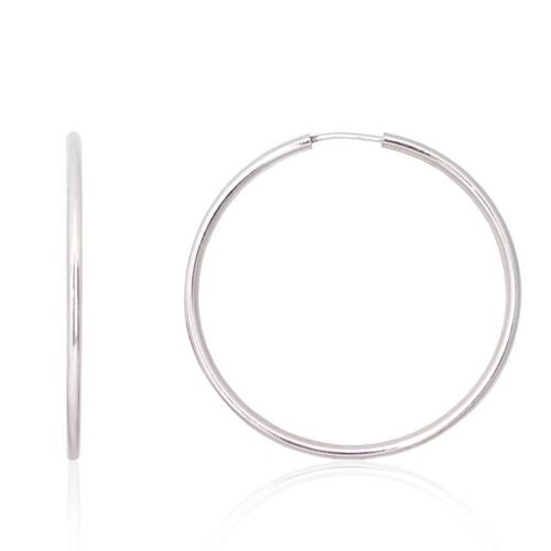 Silver earrings-rings