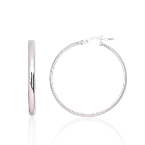 Silver earrings-rings