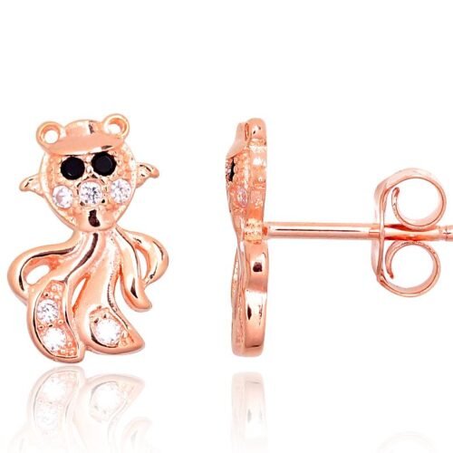 Silver stud earrings with Zirkons