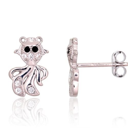Silver stud earrings with Zirkons