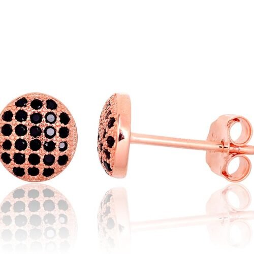 Silver stud earrings with Zirkons