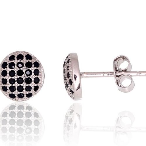 Silver stud earrings with Zirkons