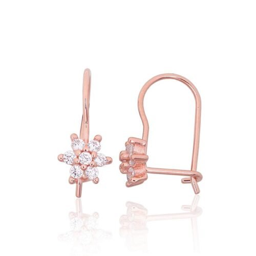 Silver hook earrings with Zirkons