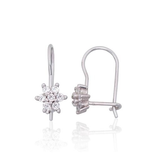 Silver hook earrings with Zirkons