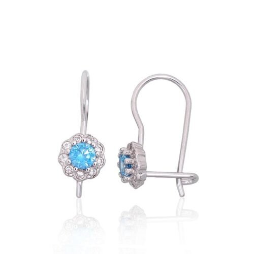 Silver hook earrings with Zirkons