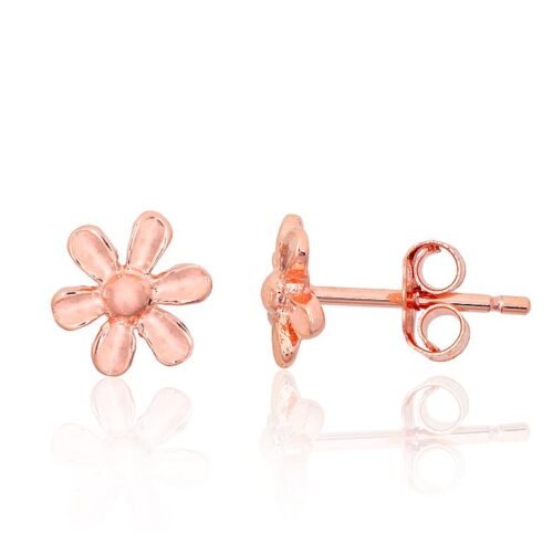 Silver stud earrings