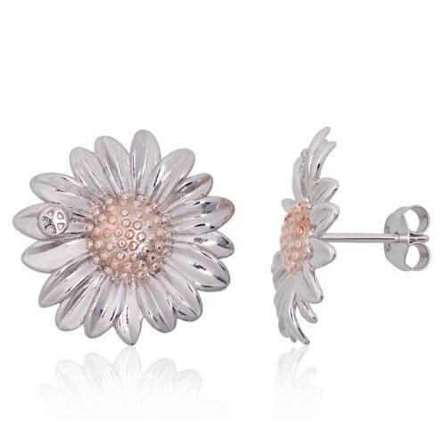 Silver stud earrings