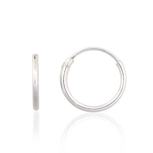 Silver earrings-rings